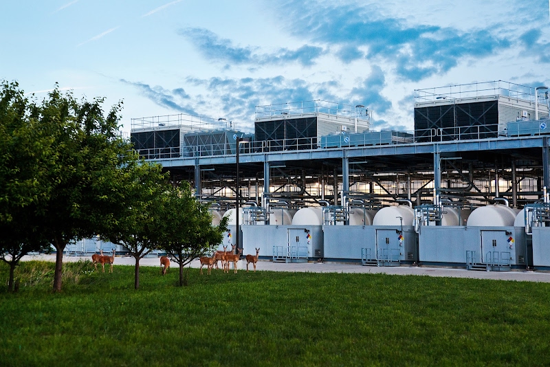 A family of deer have moved in next to the Council Bluffs, Iowa datacenter.
